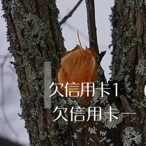 欠信用卡1萬(wàn)會(huì)怎樣(欠信用卡一萬(wàn)會(huì)立案嗎)