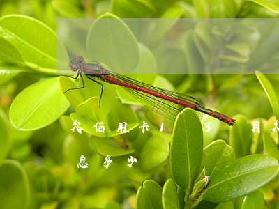 欠信用卡1萬3個月(欠信用卡1萬3個月利息多少)