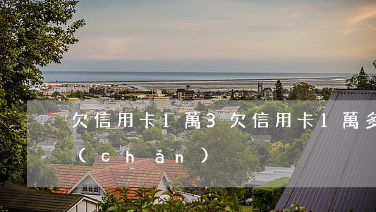 欠信用卡1萬3(欠信用卡1萬多會查封房產(chǎn))