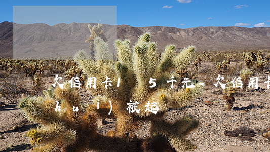 欠信用卡1萬5千元-欠信用卡1萬5會(huì)被起訴嗎