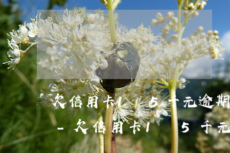欠信用卡1萬5千元逾期18個(gè)月-欠信用卡1萬5千元逾期18個(gè)月怎么辦
