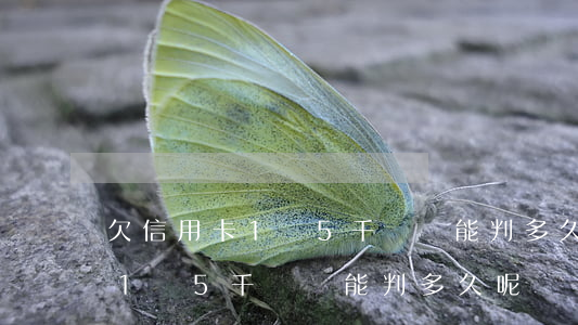 欠信用卡1萬5千沒還能判多久-欠信用卡1萬5千沒還能判多久呢