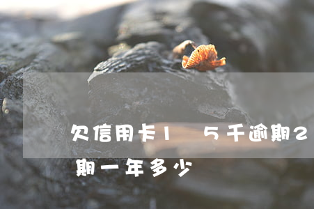 欠信用卡1萬5千逾期2年(欠五萬信用卡逾期一年多少錢)