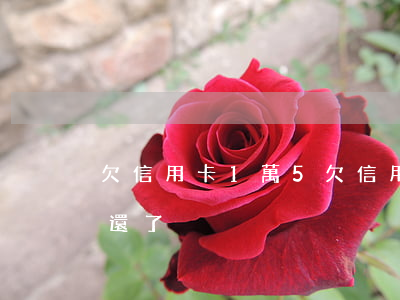 欠信用卡1萬5 欠信用卡1萬5千元3年沒還了