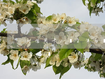 欠信用卡1萬6年后還多少錢(欠信用卡兩萬多,已經(jīng)一年多了)
