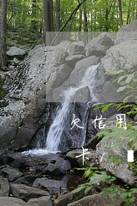 欠信用卡1萬8逾期7個月怎么還-欠信用卡1萬8逾期7個月怎么還款