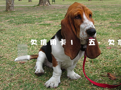 欠信用卡1萬五-欠信用卡1萬五千元匯率
