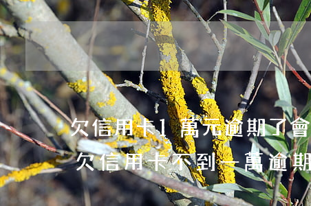 欠信用卡1萬元,逾期了會(huì)坐牢嗎?（欠信用卡不到一萬逾期了會(huì)判刑嗎）