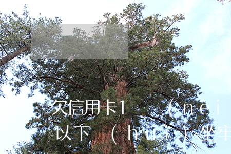 欠信用卡1萬內(nèi)-欠信用卡一萬以下會(huì)坐牢嗎