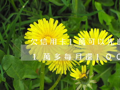 欠信用卡1萬可以先還100嗎-欠信用卡1萬多每月還100可以嗎