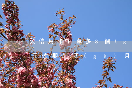 欠信用卡1萬多3個(gè)月(信用卡1萬元逾期3個(gè)月)