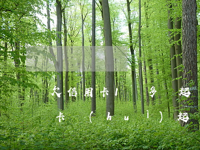 欠信用卡1萬多說起訴了怎么辦(欠一萬信用卡會(huì)起訴嗎)