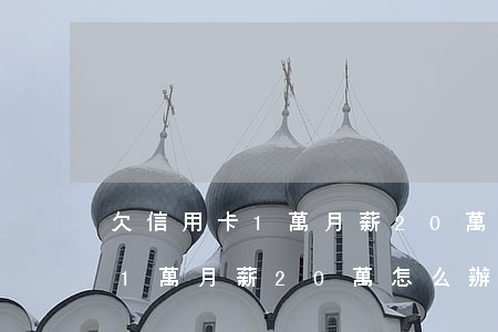欠信用卡1萬月薪20萬怎么辦-欠信用卡1萬月薪20萬怎么辦理