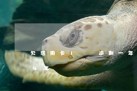 欠信用卡1萬萬逾期一年(信用卡欠1萬逾期4年)
