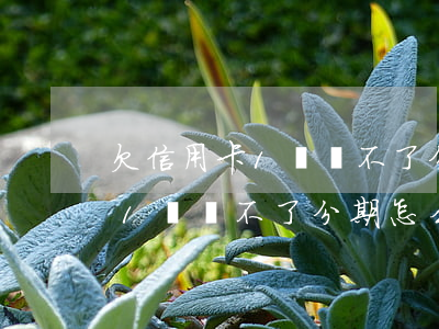 欠信用卡1萬辦不了分期怎么辦-欠信用卡1萬辦不了分期怎么辦呢