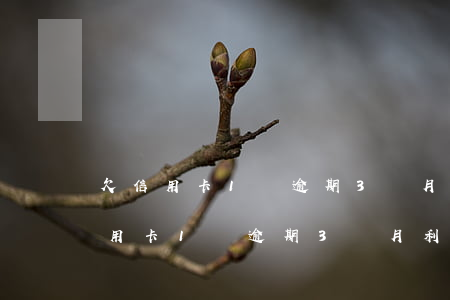 欠信用卡1萬逾期3個月利息違約金-欠信用卡1萬逾期3個月利息違約金多少