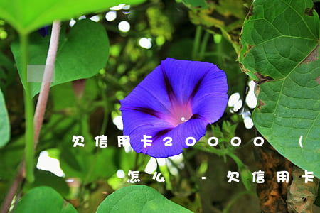 欠信用卡20000現(xiàn)在無力償還怎么辦-欠信用卡20000現(xiàn)在無力償還怎么辦呢