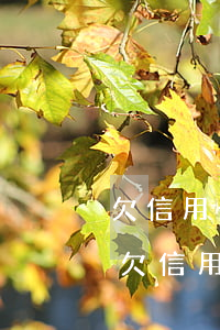 欠信用卡2000多無(wú)力償還了-欠信用卡2000多無(wú)力償還了怎么辦