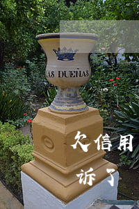 欠信用卡200(欠信用卡2000多银行起诉了)