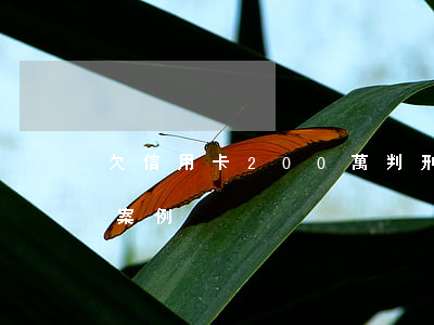 欠信用卡200萬判刑(欠信用卡27萬判刑案例)