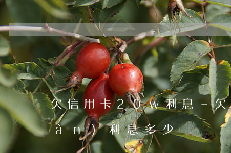 欠信用卡20w利息-欠信用卡20萬(wàn)利息多少