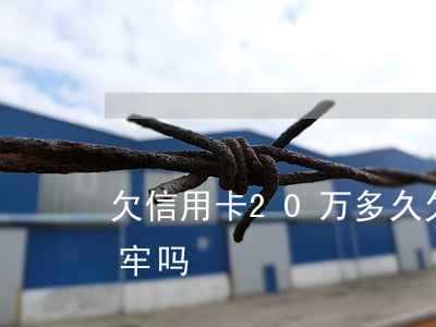 欠信用卡20万多久 欠信用卡20多万会坐牢吗