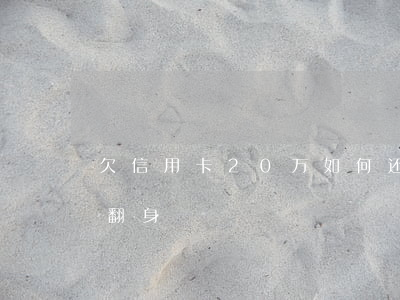 欠信用卡20万如何还(欠信用卡20万怎么翻身)