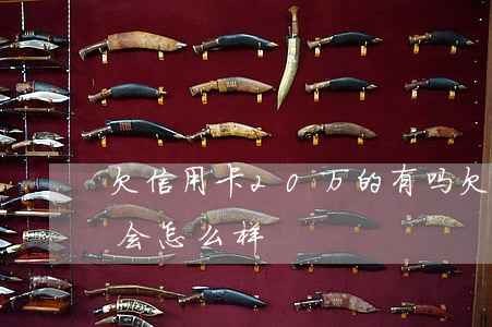 欠信用卡20万的有吗(欠信用卡20万不还会怎么样)