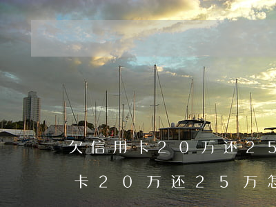欠信用卡20万还25万怎么上岸-欠信用卡20万还25万怎么上岸的