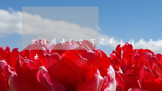 欠信用卡20万还不上（信用卡欠20万还不来）