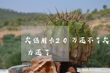 欠信用卡20万还不了(欠信用卡二十万没能力还了)