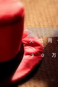 欠信用卡20万逾期一年怎么还-欠信用卡20万逾期一年怎么还款