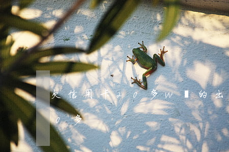 欠信用卡20多w貸的出房子嗎（欠信用卡20多）