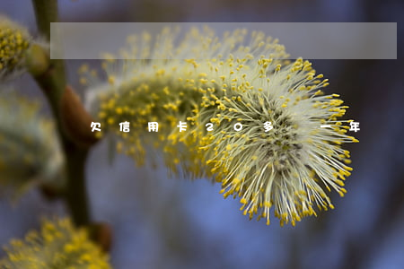 欠信用卡20多萬一年沒還