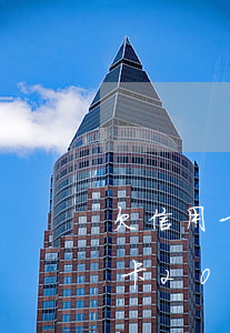 欠信用卡20多萬流水賬單80萬-欠信用卡20多萬流水賬單80萬怎么辦
