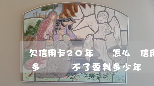 欠信用卡20年沒還怎么辦(信用卡欠了20多萬沒還不了要判多少年)
