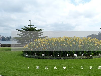 欠信用卡20萬(wàn)2年沒(méi)還怎么辦-欠信用卡20萬(wàn)2年沒(méi)還怎么辦呢