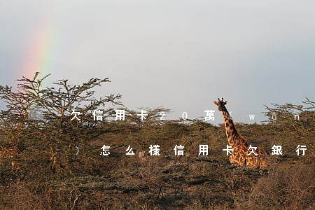 欠信用卡20萬(wàn)不還會(huì)怎么樣（信用卡欠銀行20不還怎么辦）