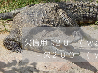欠信用卡20萬(wàn)先去自首還是起訴-欠200萬(wàn)信用卡自首