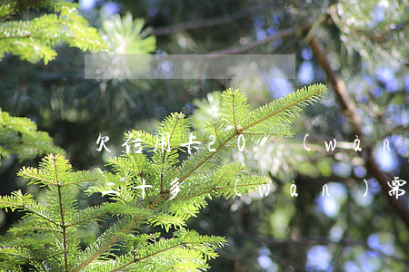 欠信用卡20萬(wàn)兩年了(欠信用卡二十多萬(wàn),需要做幾年牢)