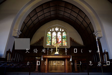 欠信用卡20萬(wàn)求助(欠信用卡20萬(wàn)怎么辦)