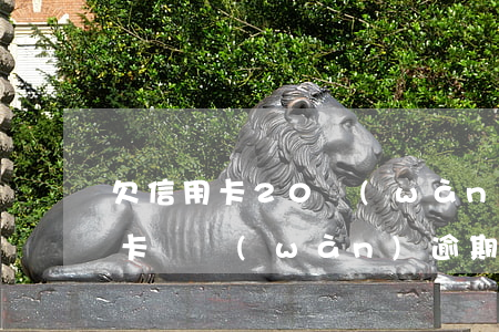 欠信用卡20萬(wàn)逾期二年(欠信用卡兩萬(wàn)逾期一年多的后果)