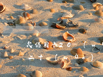 欠信用卡20萬(wàn)還不了(欠信用卡二十萬(wàn)沒(méi)能力還了)