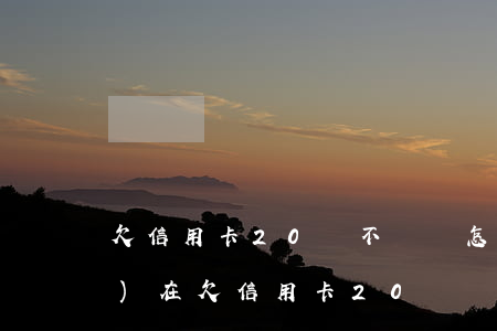 欠信用卡20萬不還會怎樣(我現(xiàn)在欠信用卡20萬還不起了怎么辦)