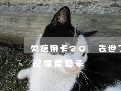 欠信用卡20萬去世了(欠信用卡幾十萬死了,配偶需要承擔嗎)