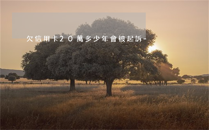 欠信用卡20萬多少年會被起訴-