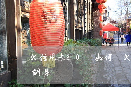 欠信用卡20萬如何還(欠信用卡20萬怎么翻身)