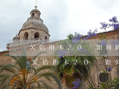 欠信用卡20萬如何降低手續(xù)費-欠信用卡20萬如何降低手續(xù)費呢