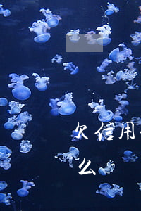 欠信用卡20萬左右(欠信用卡20萬左右怎么辦)