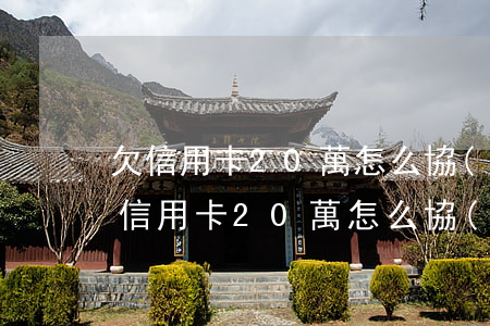 欠信用卡20萬怎么協(xié)商還款（欠信用卡20萬怎么協(xié)商還款）